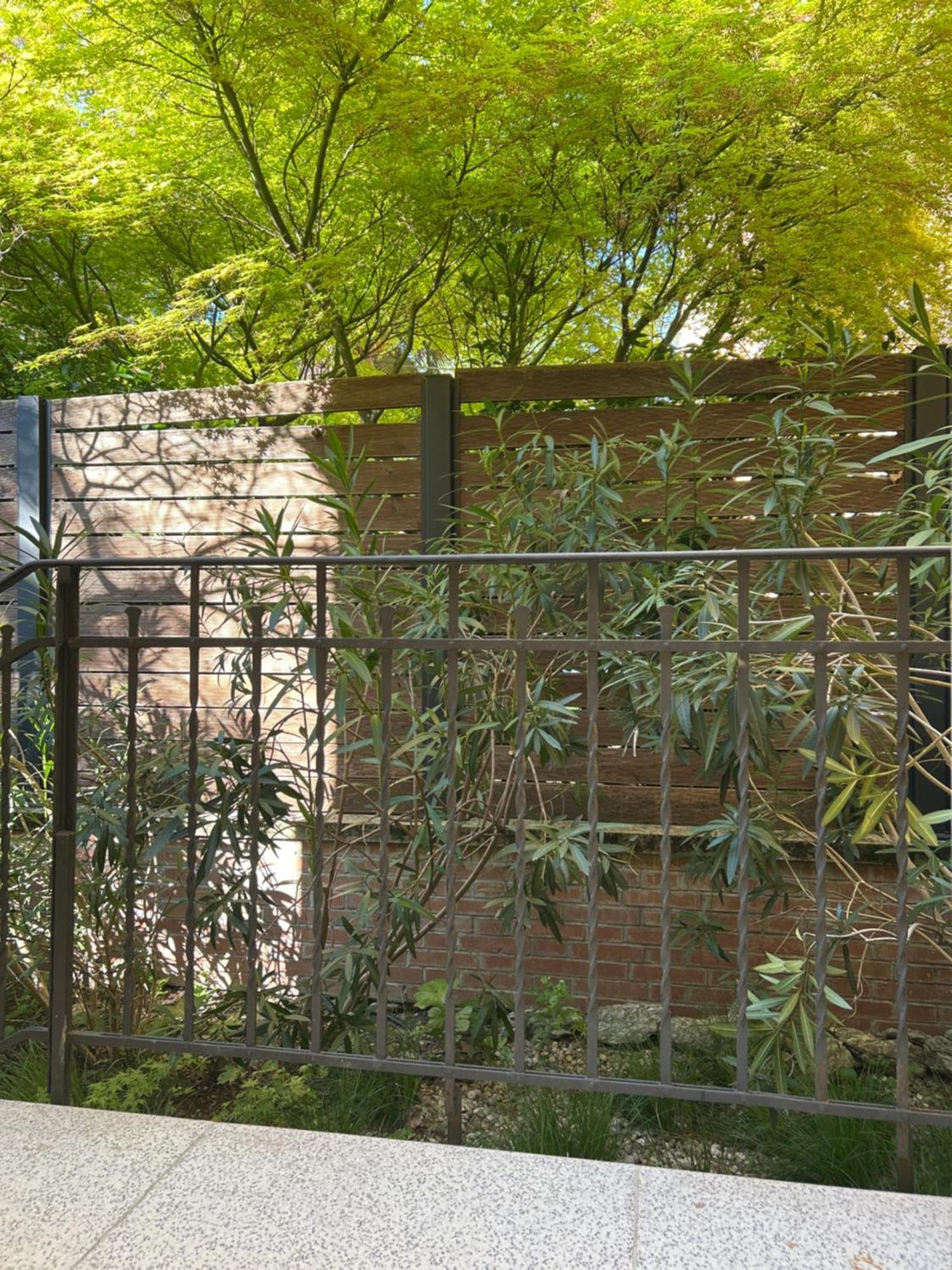 Urban Jungle Daire Bolonya Dış mekan fotoğraf